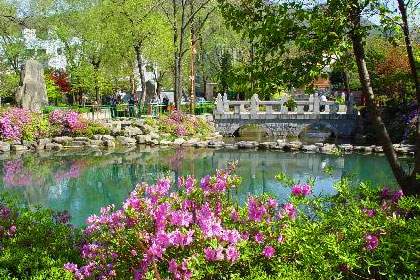 Hwangji Pond image